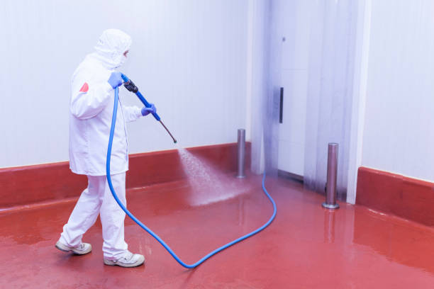 Best Sidewalk and Walkway Cleaning  in Centerville, UT